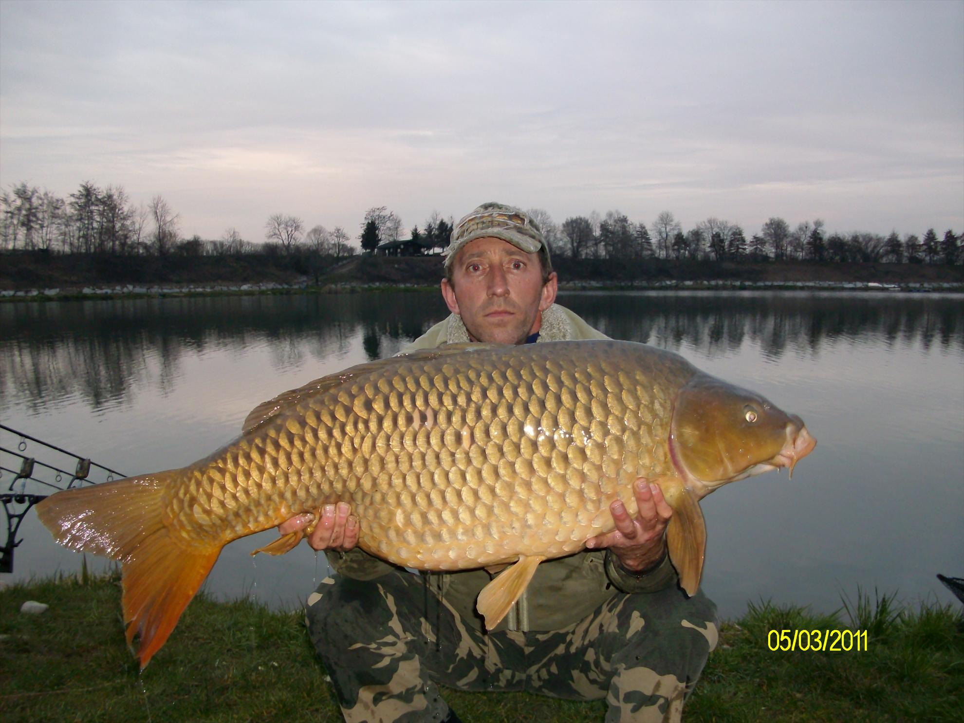 florian tanasa - alim0225.JPG